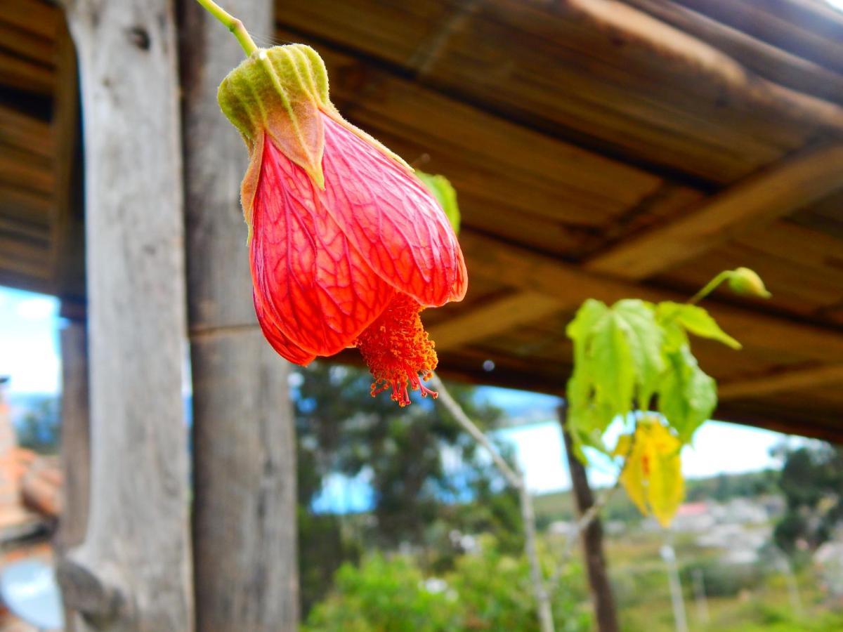 Cabanas Y Glampings Balcon Del Lago Otavalo Kültér fotó