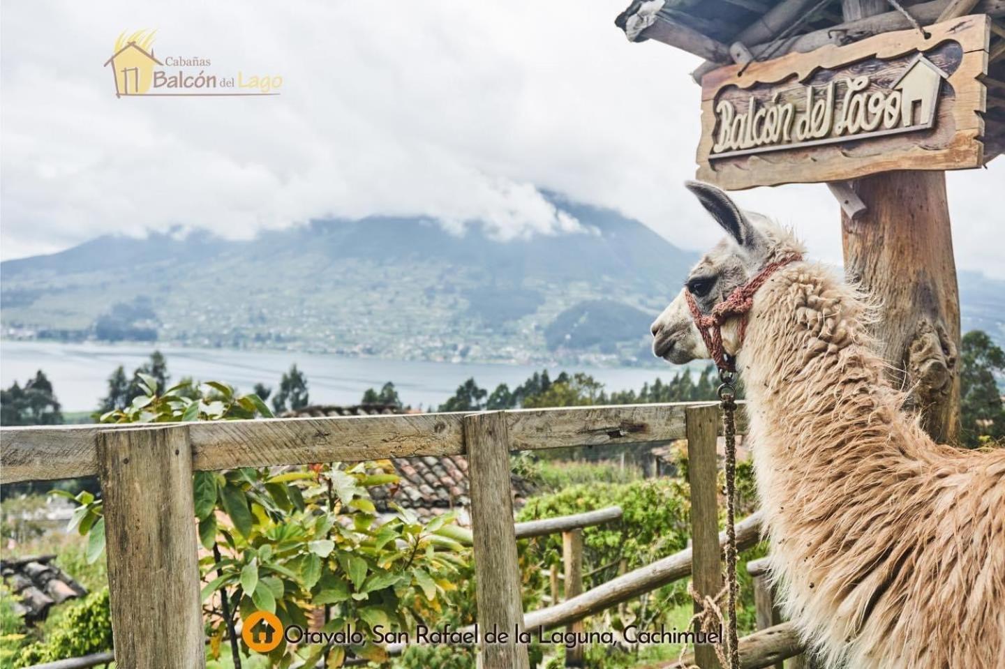 Cabanas Y Glampings Balcon Del Lago Otavalo Kültér fotó