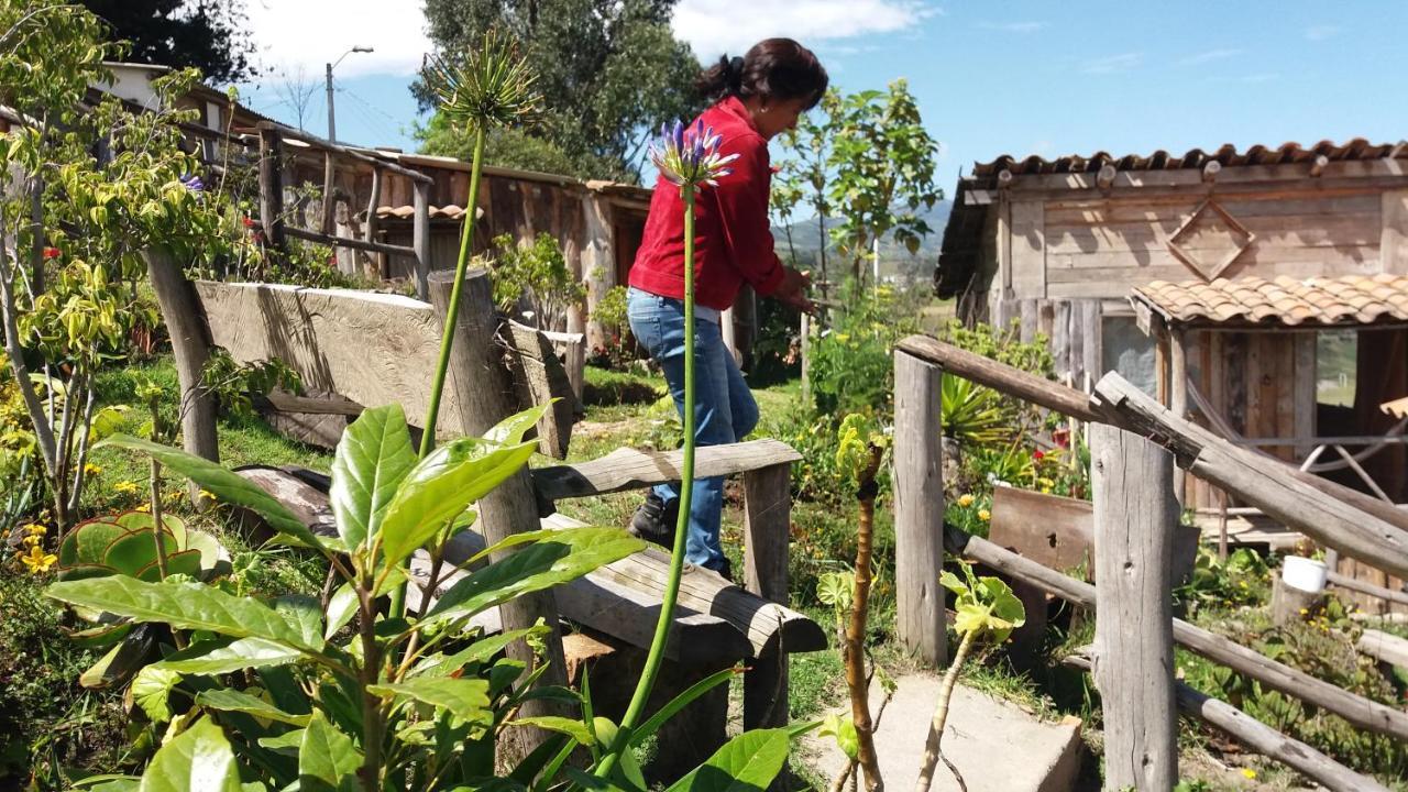 Cabanas Y Glampings Balcon Del Lago Otavalo Kültér fotó